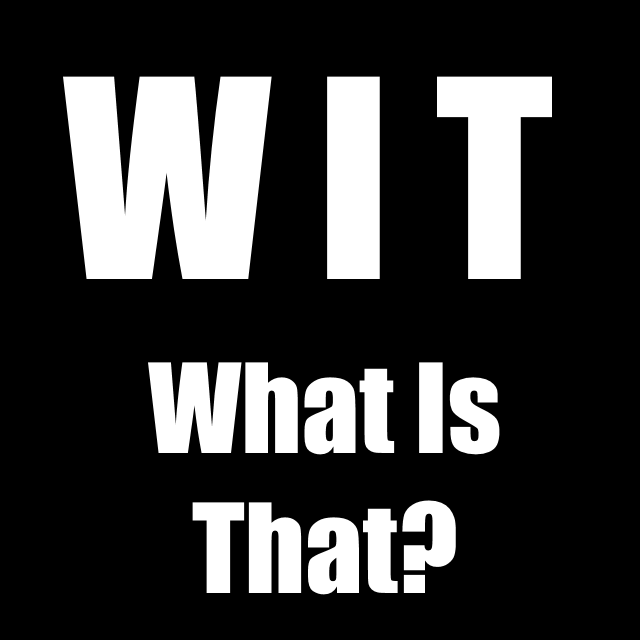 Логотип мода WIT (What Is That)