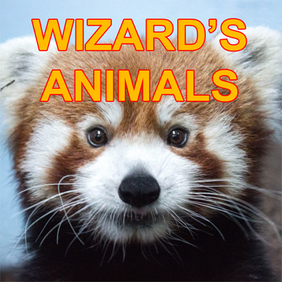 Логотип мода Wizard's Animals