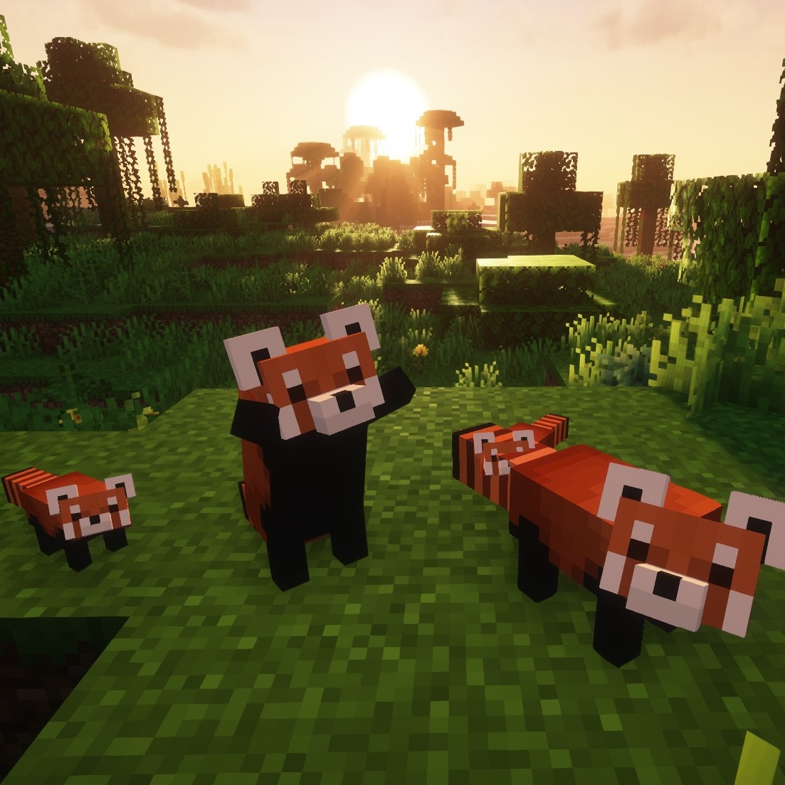 Логотип мода YDM's Red Panda